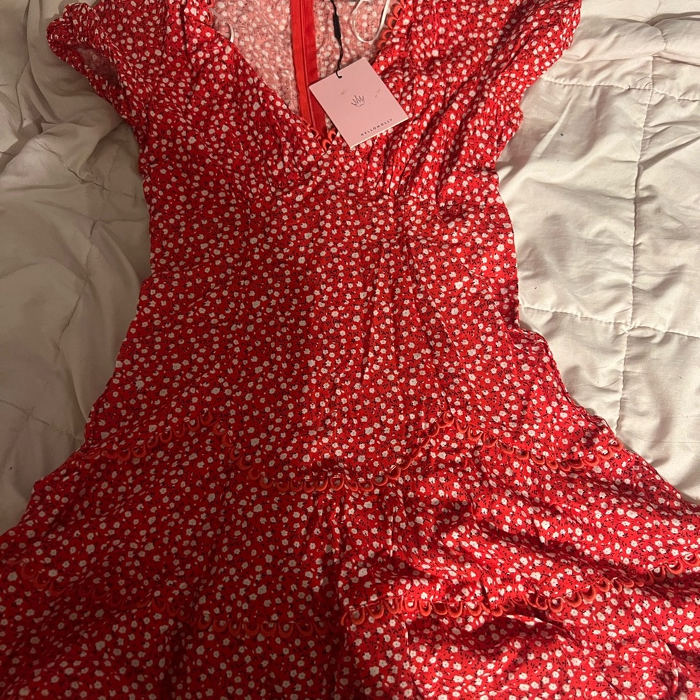 Hello Molly Red Floral Dress